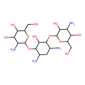 KANAMYCIN C structure