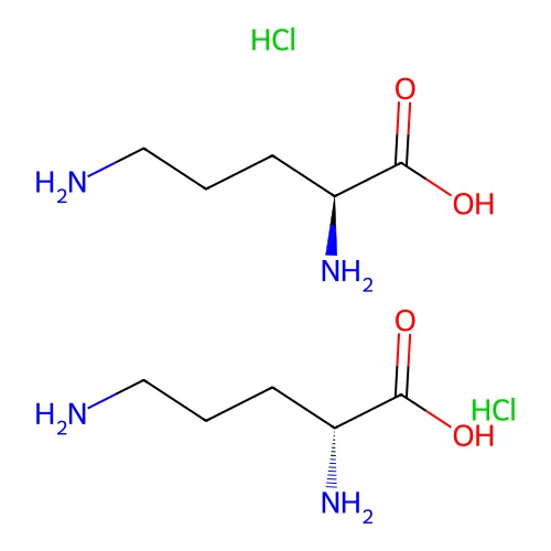 Ornithine--hydrogen chloride (2/1) structure