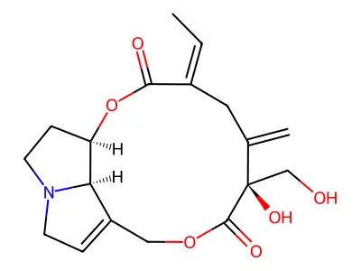 Riddelliin structure