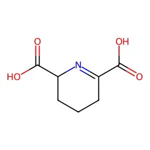 2,3,4,5-Tetrahydro-2,6-pyridinedicarboxylic acid structure
