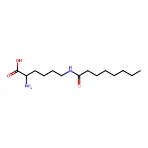 N6-Capryloyl lysine structure