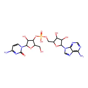Cytidylyl-(3'->5')-adenosine structure