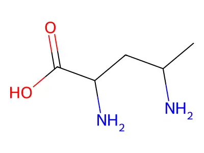 2,4-Diaminopentanoic acid structure