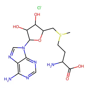 S-Adenosylmethionine chloride structure