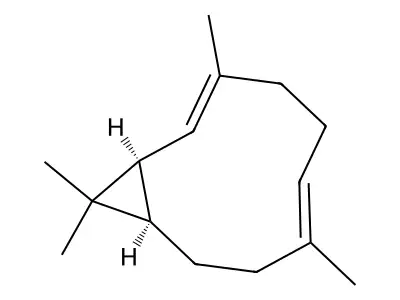 3,6,6,9-Tetramethyl-4,4a,5,6,7,9a-hexahydro-1H-benzo(7)annulene structure