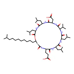 Surfactin peptide structure