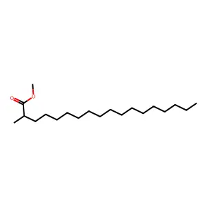 Methyl 2-methylstearate structure