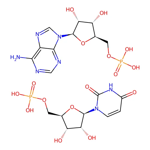 POLY A-U structure