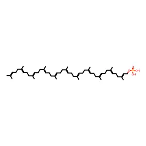 Undecaprenyl phosphate structure