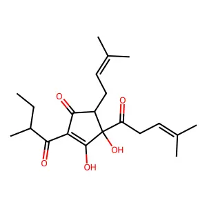 Isoadhumulone structure