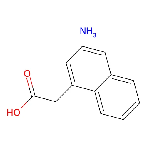 Ammonium alpha-naphthylacetate structure