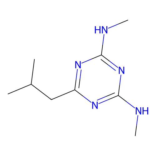 2-N,4-N-dimethyl-6-(2-methylpropyl)-1,3,5-triazine-2,4-diamine structure