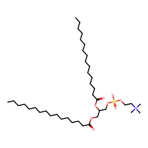 1,2-Dipalmitoylphosphatidylcholine structure