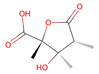 Monocrotalic acid structure