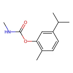 Carbamic acid, methyl-, carvacryl ester structure
