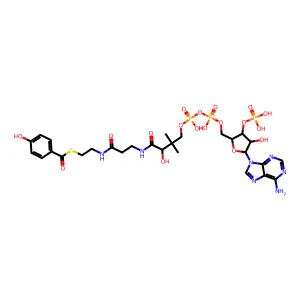 4-Hydroxybenzoyl-coenzyme A; (Acyl-CoA); [M+H]+ structure