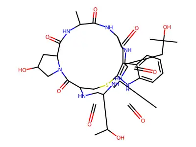 Phalloin structure