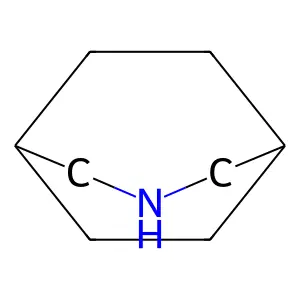3-Azabicyclo[3.2.2]nonane structure