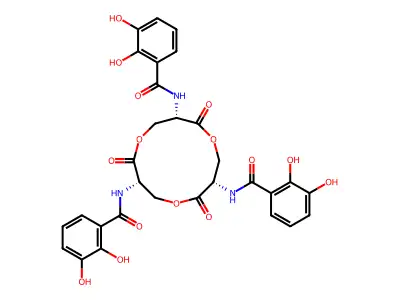 Enterobactin structure