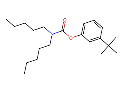 Carbamic acid, N,N-dipentyl-, 3-tert-butylphenyl ester structure