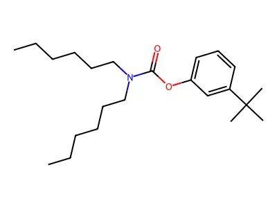 Carbamic acid, N,N-dihexyl-, 3-tert-butylphenyl ester structure