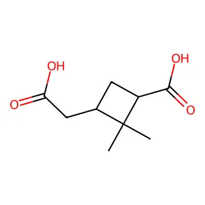 Pinic acid structure