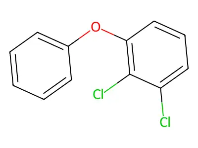 2,3-Dichlorodiphenyl ether structure