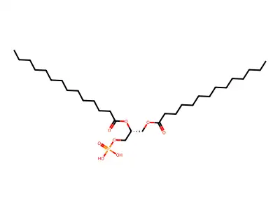 2-(Tetradecanoyloxy)ethyl 2-[(phosphonooxy)methyl]tetradecanoate structure