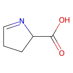 1-Pyrroline-5-carboxylic acid structure