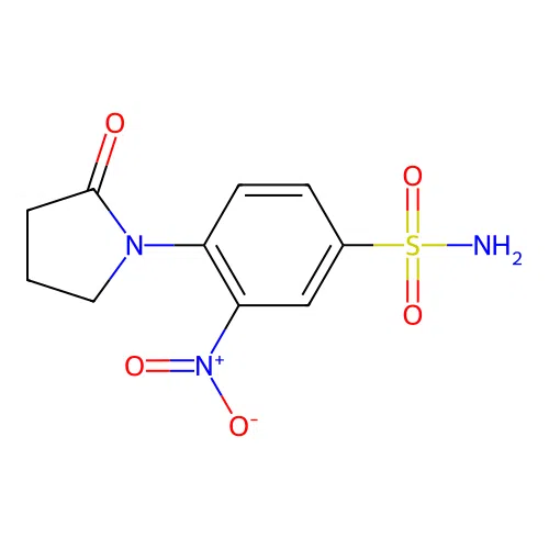 3-Nitro-4-(2-Oxo-Pyrrolidin-1-Yl)-Benzenesulfonamide structure