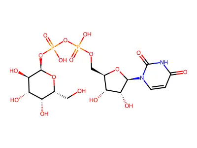 Udp-Galactose structure
