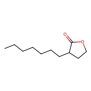 2(3H)-Furanone, 3-heptyldihydro- structure