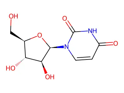 Uracil Arabinoside structure