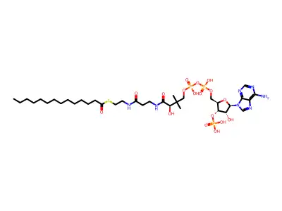 Myristoyl coenzyme A structure