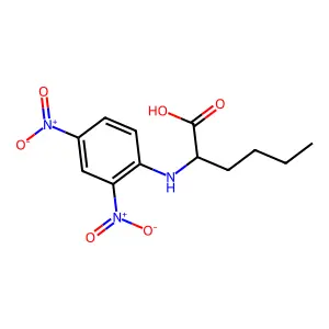 N-(2,4-Dinitrophenyl)-DL-norleucine structure