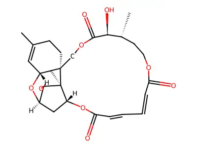 Muconomycin A structure