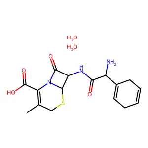 Cephradine Dihydrate structure