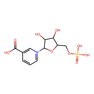 NaMN structure