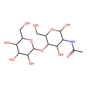 2-Acetamido-2-deoxy-4-O-hexopyranosylhexopyranose structure