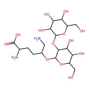 Glucosylgalactosyl hydroxylysine structure