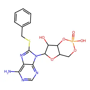 8-Thio-benzyl cyclic amp structure