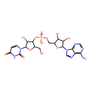 Uridylyl-(3'->5')-adenosine structure
