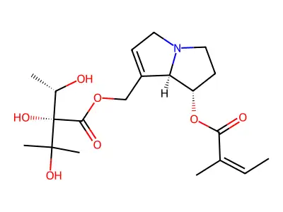 HELIOSUPINE structure