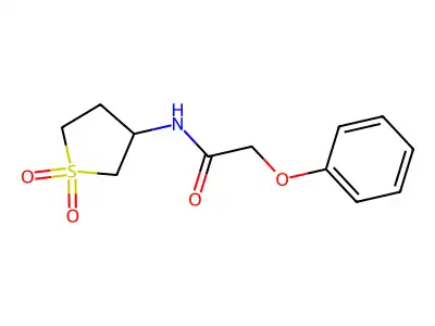 N-(1,1-dioxothiolan-3-yl)-2-phenoxyacetamide structure