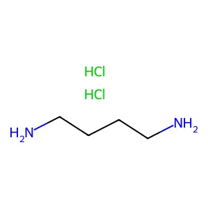 Putrescine Dihydrochloride structure
