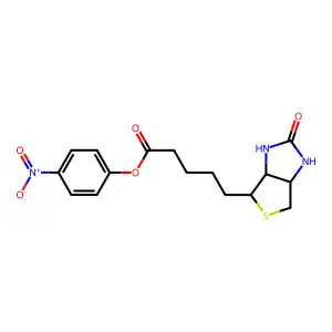 Biotinyl-4-nitrophenyl ester structure