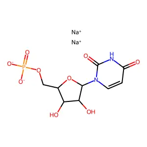 Disodium UMP structure