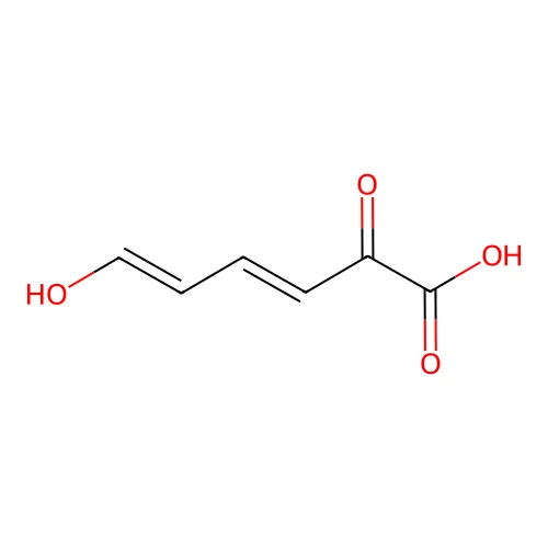 (2Z,4E)-2-hydroxy-6-oxohexa-2,4-dienoic acid structure