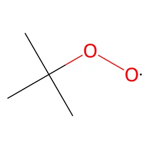 Ethyldioxy, 1,1-dimethyl- structure
