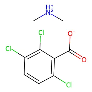 2,3,6-TBA-dimethylammonium structure
